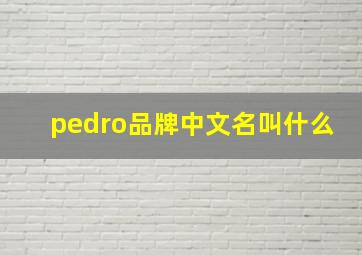 pedro品牌中文名叫什么