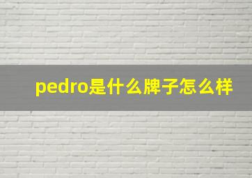 pedro是什么牌子怎么样