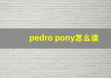 pedro pony怎么读