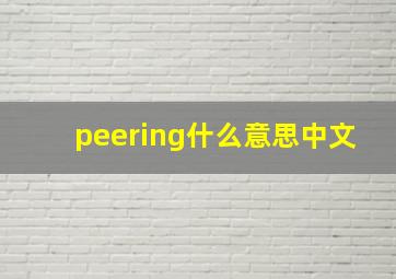 peering什么意思中文