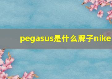 pegasus是什么牌子nike