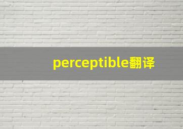 perceptible翻译