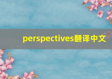 perspectives翻译中文