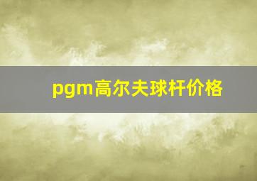 pgm高尔夫球杆价格