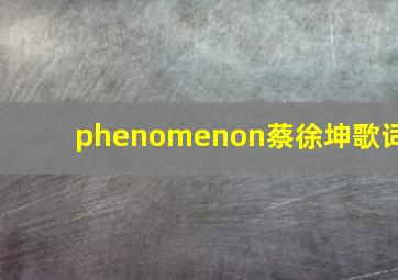 phenomenon蔡徐坤歌词