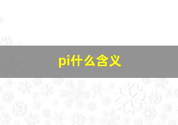 pi什么含义