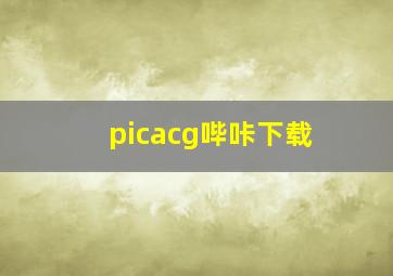 picacg哔咔下载