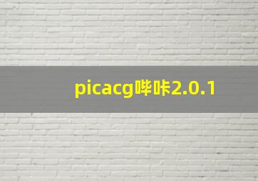 picacg哔咔2.0.1