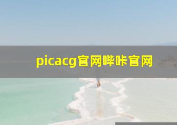 picacg官网哔咔官网