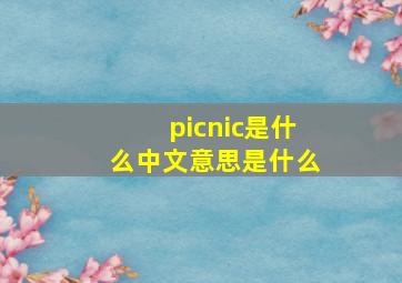 picnic是什么中文意思是什么