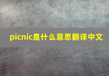 picnic是什么意思翻译中文