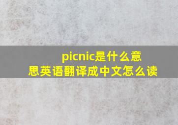 picnic是什么意思英语翻译成中文怎么读