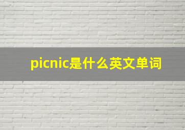 picnic是什么英文单词