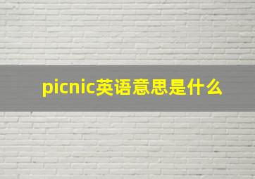 picnic英语意思是什么