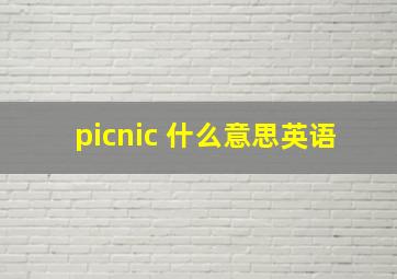 picnic 什么意思英语