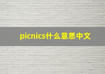 picnics什么意思中文