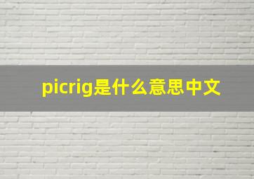 picrig是什么意思中文