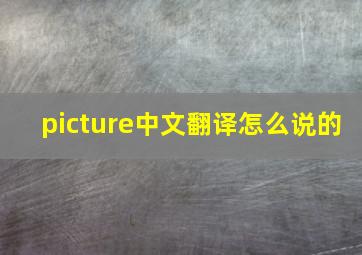 picture中文翻译怎么说的