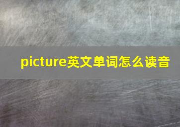 picture英文单词怎么读音