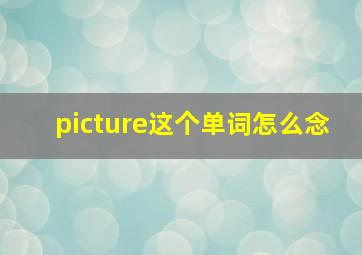 picture这个单词怎么念