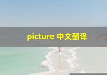 picture 中文翻译