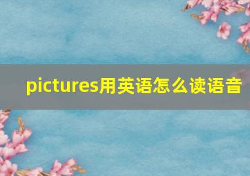 pictures用英语怎么读语音