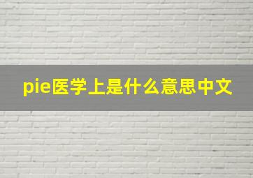 pie医学上是什么意思中文