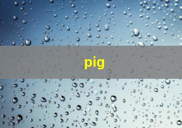 pig