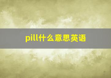 pill什么意思英语