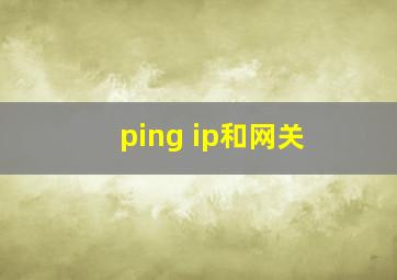 ping ip和网关