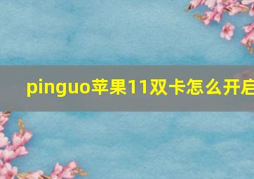 pinguo苹果11双卡怎么开启