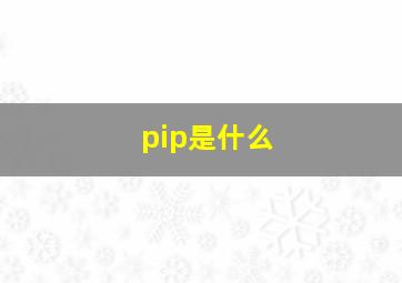 pip是什么