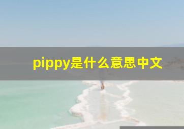 pippy是什么意思中文