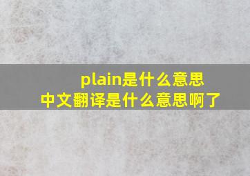 plain是什么意思中文翻译是什么意思啊了