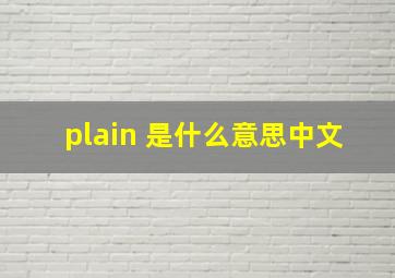 plain 是什么意思中文