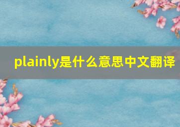 plainly是什么意思中文翻译