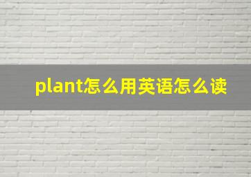 plant怎么用英语怎么读