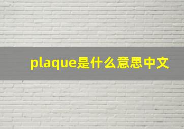 plaque是什么意思中文