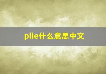 plie什么意思中文