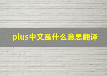 plus中文是什么意思翻译