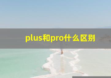 plus和pro什么区别