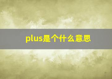 plus是个什么意思