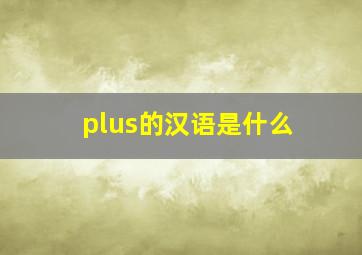 plus的汉语是什么