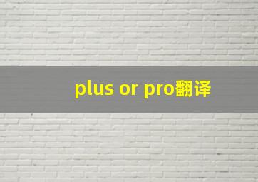 plus or pro翻译