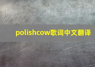 polishcow歌词中文翻译