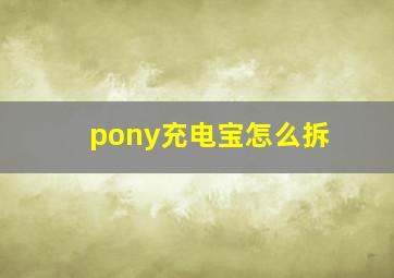 pony充电宝怎么拆