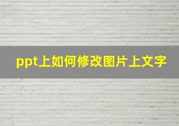 ppt上如何修改图片上文字