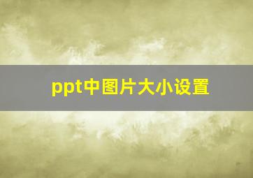 ppt中图片大小设置