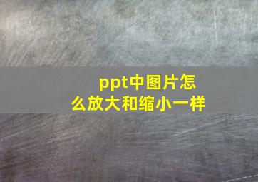 ppt中图片怎么放大和缩小一样