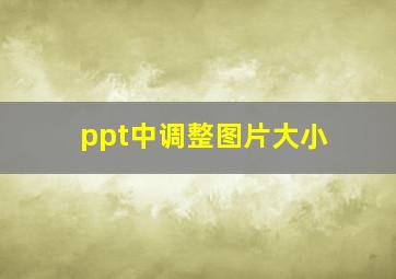 ppt中调整图片大小